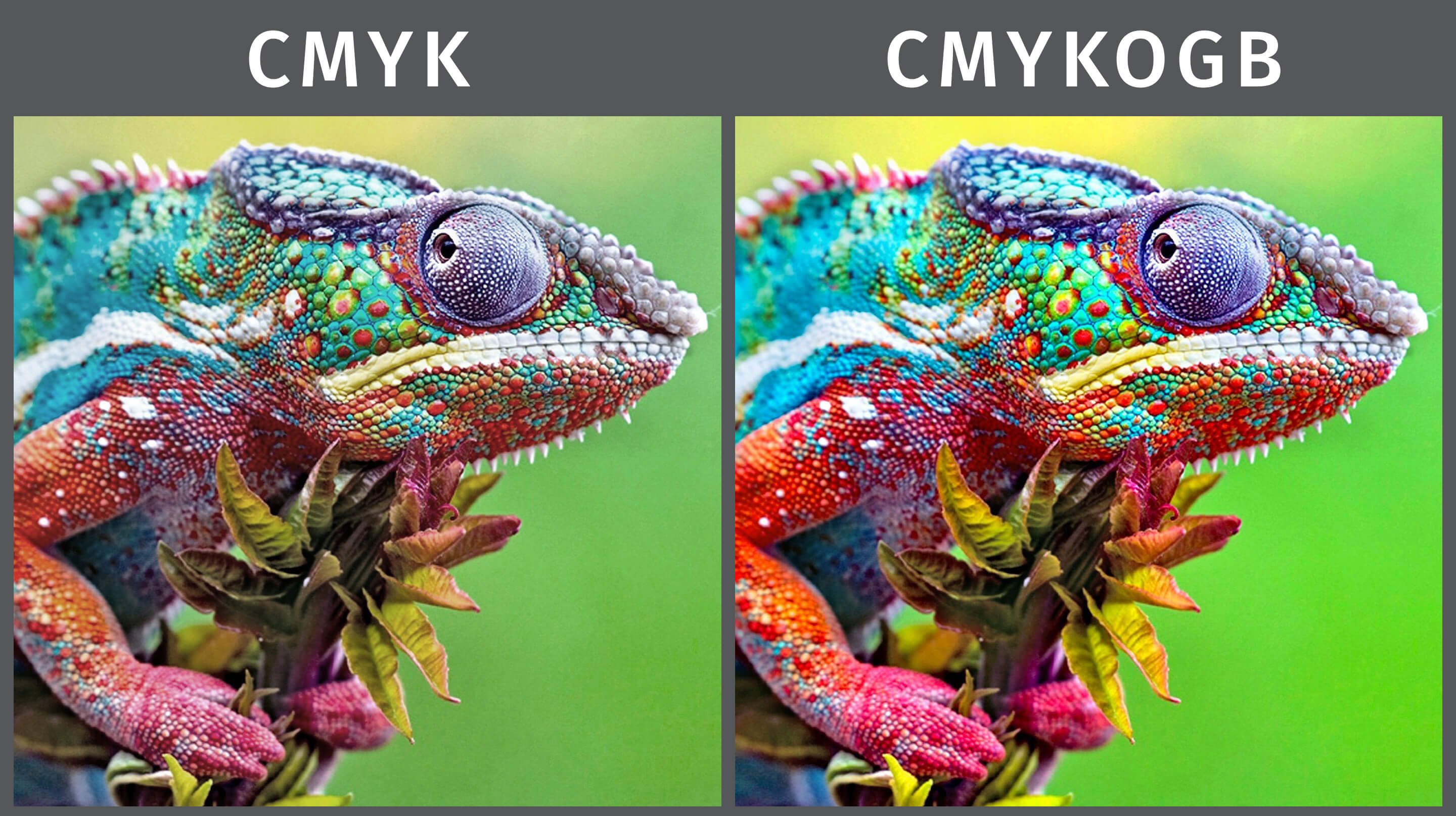 Extended Color Gamut Printing. The Future of Perfectly Printed Colors