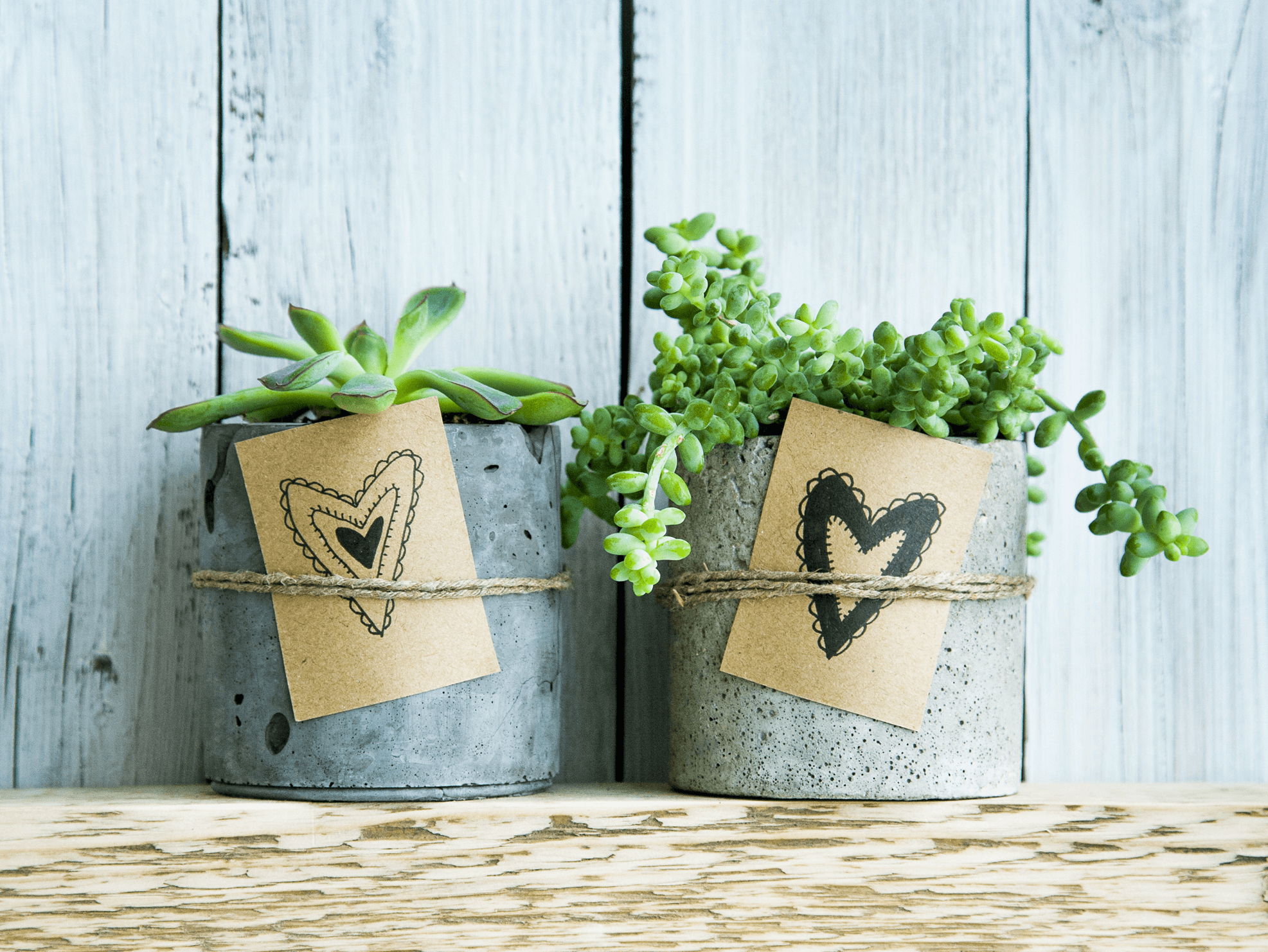 7 Practical and Fun Housewarming Gift Ideas
