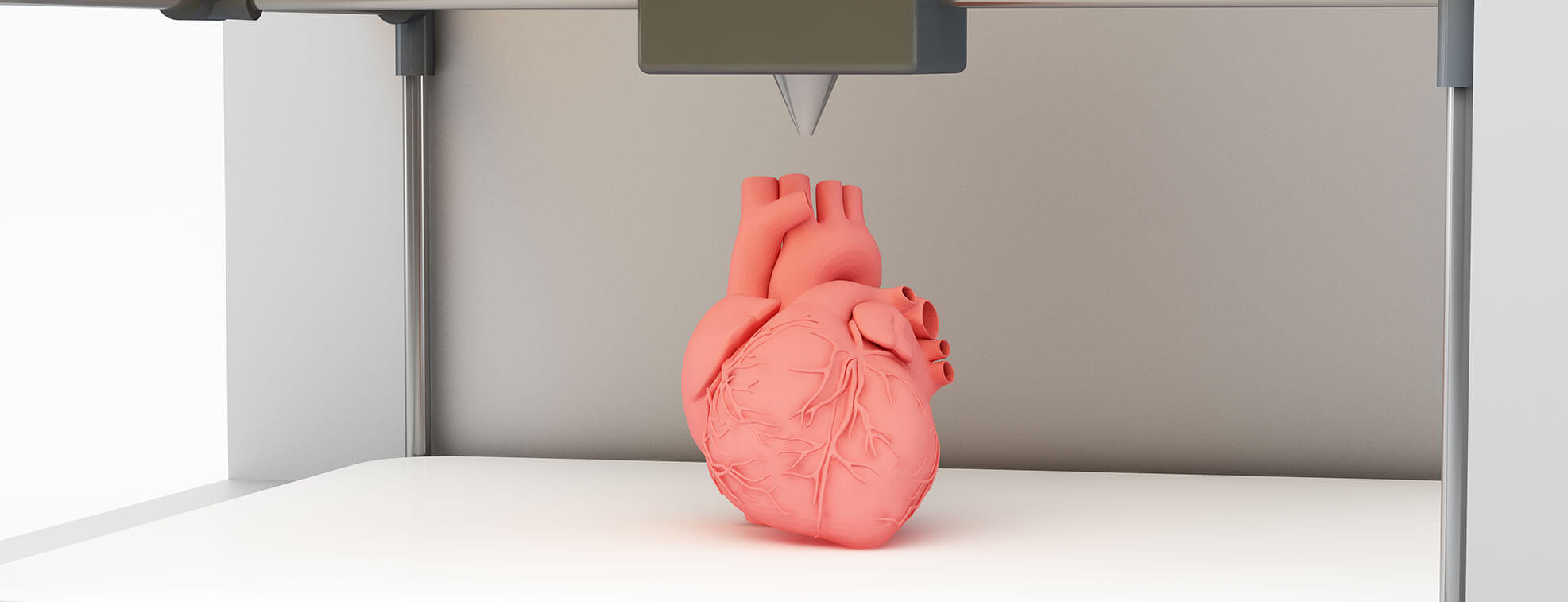 3D printing a heart